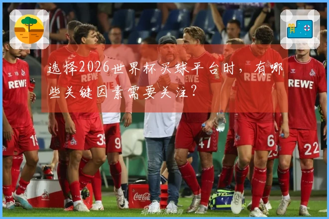 选择2026世界杯买球平台时，有哪些关键因素需要关注？