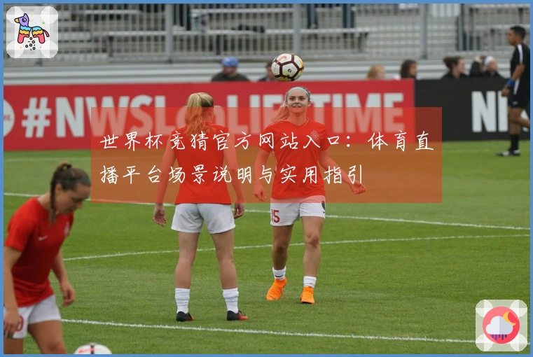 世界杯竞猜官方网站入口：体育直播平台场景说明与实用指引