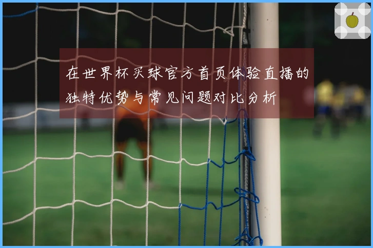 在世界杯买球官方首页体验直播的独特优势与常见问题对比分析