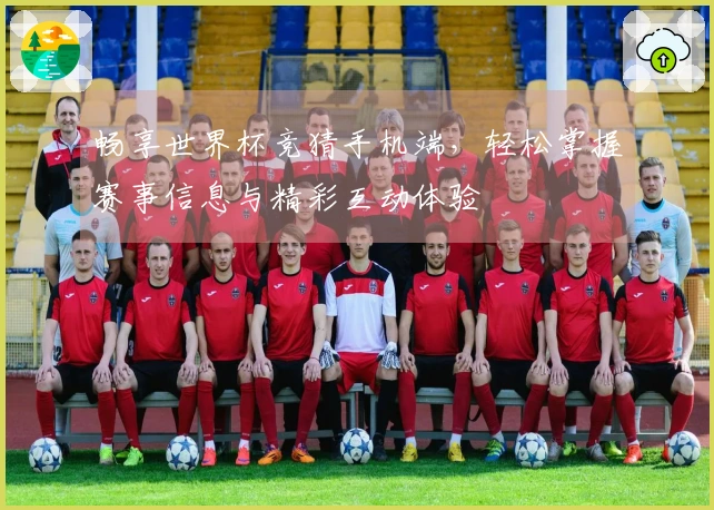 畅享世界杯竞猜手机端，轻松掌握赛事信息与精彩互动体验