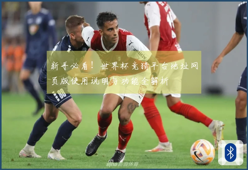 新手必看！世界杯竞猜平台地址网页版使用说明与功能全解析