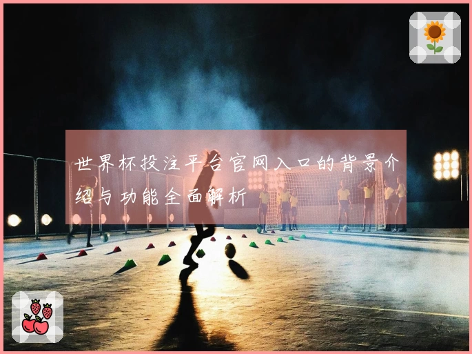 世界杯投注平台官网入口的背景介绍与功能全面解析
