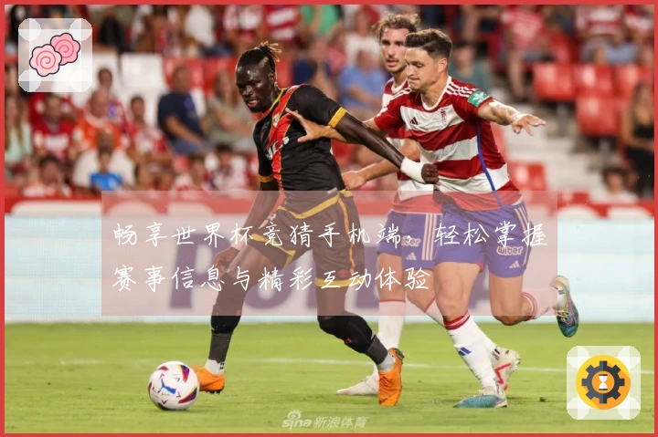 畅享世界杯竞猜手机端，轻松掌握赛事信息与精彩互动体验