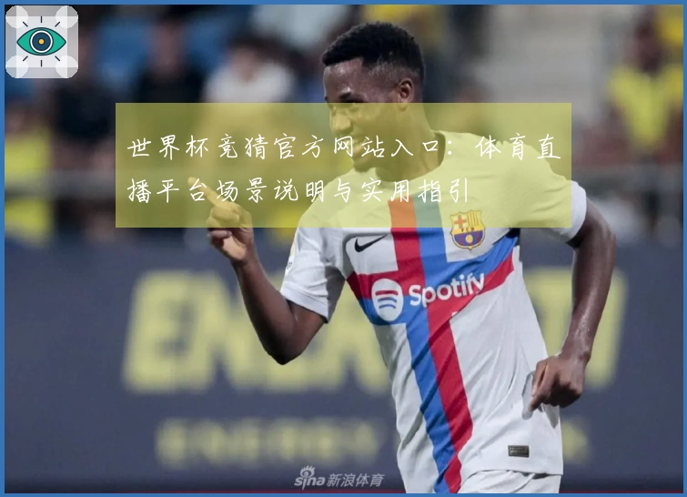 世界杯竞猜官方网站入口：体育直播平台场景说明与实用指引