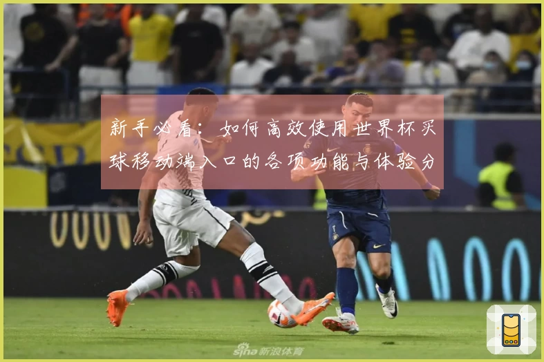 新手必看：如何高效使用世界杯买球移动端入口的各项功能与体验分享