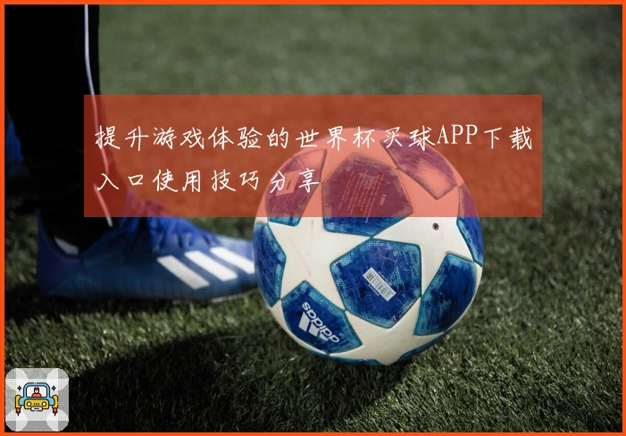 提升游戏体验的世界杯买球APP下载入口使用技巧分享