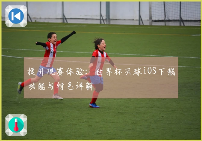 提升观赛体验：世界杯买球iOS下载功能与特色详解